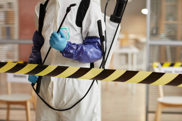 Professional Sewage Cleanup technician working in Carthage, TX